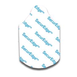secure edge