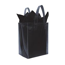 Frosted Bags - Large 8"W x 4"D x 10"D (100/box)
