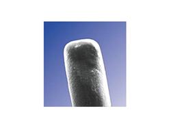 SoftPlug Collagen Intracanalicular Plug 0.3 x 2mm (60 per box)