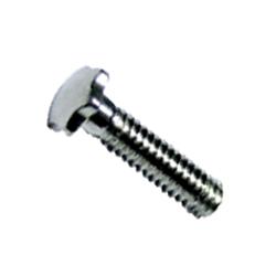 1.2 x 11 x 2.3 Silver Star Head Rimless Screw (pack of 50)