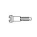 1.1 x 5.5 x 1.7 Self-Aligning Gold Nose Pad Screw (pack of 100)