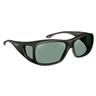 Denali - Black Frame - Gray Lens