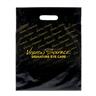 NON-IMPRINTED Vision Source PLASTIC Bag - Large (100/box)