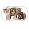 Kittens Bubble Case
